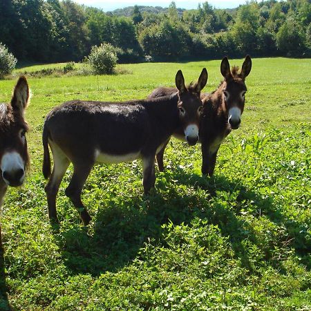 L'Oree Des Bois Dommartin-Les-Cuiseaux Dış mekan fotoğraf